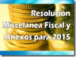 Anexo 21 De La Primera Resolucion De Modificaciones a la RMF Para el 2015